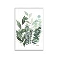 Picture of Green and Serene II _GroupedProduct_Rectangle_Portrait_Canvas_Framed_