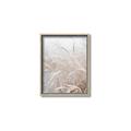 Picture of Frosted pampas grass _GroupedProduct_Rectangle_Portrait_Photography _GroupedProduct_Rectangle_Portrait_Canvas_Framed_