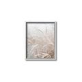 Picture of Frosted pampas grass _GroupedProduct_Rectangle_Portrait_Photography _GroupedProduct_Rectangle_Portrait_Canvas_Framed_
