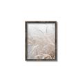 Picture of Frosted pampas grass _GroupedProduct_Rectangle_Portrait_Photography _GroupedProduct_Rectangle_Portrait_Canvas_Framed_