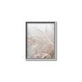 Picture of Frosted pampas grass _GroupedProduct_Rectangle_Portrait_Photography _GroupedProduct_Rectangle_Portrait_Canvas_Framed_