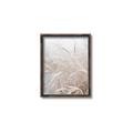 Picture of Frosted pampas grass _GroupedProduct_Rectangle_Portrait_Photography _GroupedProduct_Rectangle_Portrait_Canvas_Framed_