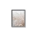 Picture of Frosted pampas grass _GroupedProduct_Rectangle_Portrait_Photography _GroupedProduct_Rectangle_Portrait_Canvas_Framed_