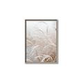 Picture of Frosted pampas grass _GroupedProduct_Rectangle_Portrait_Photography _GroupedProduct_Rectangle_Portrait_Canvas_Framed_