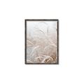 Picture of Frosted pampas grass _GroupedProduct_Rectangle_Portrait_Photography _GroupedProduct_Rectangle_Portrait_Canvas_Framed_