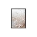 Picture of Frosted pampas grass _GroupedProduct_Rectangle_Portrait_Photography _GroupedProduct_Rectangle_Portrait_Canvas_Framed_