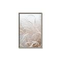 Picture of Frosted pampas grass _GroupedProduct_Rectangle_Portrait_Photography _GroupedProduct_Rectangle_Portrait_Canvas_Framed_