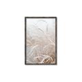 Picture of Frosted pampas grass _GroupedProduct_Rectangle_Portrait_Photography _GroupedProduct_Rectangle_Portrait_Canvas_Framed_