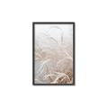 Picture of Frosted pampas grass _GroupedProduct_Rectangle_Portrait_Photography _GroupedProduct_Rectangle_Portrait_Canvas_Framed_
