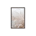 Picture of Frosted pampas grass _GroupedProduct_Rectangle_Portrait_Photography _GroupedProduct_Rectangle_Portrait_Canvas_Framed_