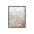 Picture of Frosted pampas grass _GroupedProduct_Rectangle_Portrait_Photography _GroupedProduct_Rectangle_Portrait_Canvas_Framed_