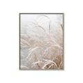 Picture of Frosted pampas grass _GroupedProduct_Rectangle_Portrait_Photography _GroupedProduct_Rectangle_Portrait_Canvas_Framed_
