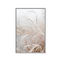 Picture of Frosted pampas grass _GroupedProduct_Rectangle_Portrait_Photography _GroupedProduct_Rectangle_Portrait_Canvas_Framed_