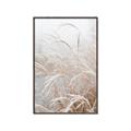 Picture of Frosted pampas grass _GroupedProduct_Rectangle_Portrait_Photography _GroupedProduct_Rectangle_Portrait_Canvas_Framed_
