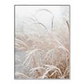 Picture of Frosted pampas grass _GroupedProduct_Rectangle_Portrait_Photography _GroupedProduct_Rectangle_Portrait_Canvas_Framed_