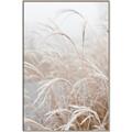 Picture of Frosted pampas grass _GroupedProduct_Rectangle_Portrait_Photography _GroupedProduct_Rectangle_Portrait_Canvas_Framed_