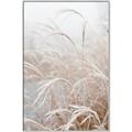 Picture of Frosted pampas grass _GroupedProduct_Rectangle_Portrait_Photography _GroupedProduct_Rectangle_Portrait_Canvas_Framed_