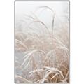 Picture of Frosted pampas grass _GroupedProduct_Rectangle_Portrait_Photography _GroupedProduct_Rectangle_Portrait_Canvas_Framed_