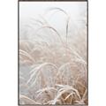 Picture of Frosted pampas grass _GroupedProduct_Rectangle_Portrait_Photography _GroupedProduct_Rectangle_Portrait_Canvas_Framed_