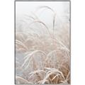 Picture of Frosted pampas grass _GroupedProduct_Rectangle_Portrait_Photography _GroupedProduct_Rectangle_Portrait_Canvas_Framed_