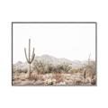 Picture of Photography Terrain _GroupedProduct_Rectangle_Landscape_Photography _GroupedProduct_Rectangle_Landscape_Canvas_Framed_