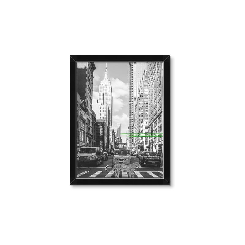 Picture of Big Cat on street of NY _GroupedProduct_Rectangle_Portrait_Framed_Matted_