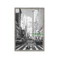 Picture of Big Cat on street of NY _GroupedProduct_Rectangle_Portrait_Framed_Matted_