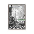 Picture of Big Cat on street of NY _GroupedProduct_Rectangle_Portrait_Framed_Matted_