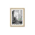 Picture of Big Cat on street of NY _GroupedProduct_Rectangle_Portrait_Framed_Matted_