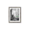 Picture of Big Cat on street of NY _GroupedProduct_Rectangle_Portrait_Framed_Matted_