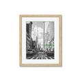 Picture of Big Cat on street of NY _GroupedProduct_Rectangle_Portrait_Framed_Matted_