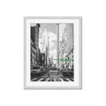 Picture of Big Cat on street of NY _GroupedProduct_Rectangle_Portrait_Framed_Matted_
