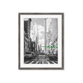 Picture of Big Cat on street of NY _GroupedProduct_Rectangle_Portrait_Framed_Matted_