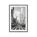 Picture of Big Cat on street of NY _GroupedProduct_Rectangle_Portrait_Framed_Matted_