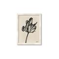 Picture of Spring-blooming _GroupedProduct_Rectangle_Portrait_Framed_Matted_
