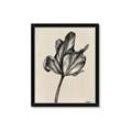 Picture of Spring-blooming _GroupedProduct_Rectangle_Portrait_Framed_Matted_