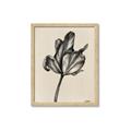 Picture of Spring-blooming _GroupedProduct_Rectangle_Portrait_Framed_Matted_