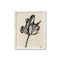 Picture of Spring-blooming _GroupedProduct_Rectangle_Portrait_Framed_Matted_