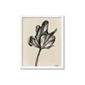 Picture of Spring-blooming _GroupedProduct_Rectangle_Portrait_Framed_Matted_