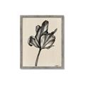 Picture of Spring-blooming _GroupedProduct_Rectangle_Portrait_Framed_Matted_