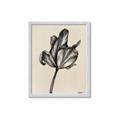 Picture of Spring-blooming _GroupedProduct_Rectangle_Portrait_Framed_Matted_