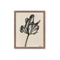 Picture of Spring-blooming _GroupedProduct_Rectangle_Portrait_Framed_Matted_