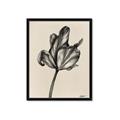 Picture of Spring-blooming _GroupedProduct_Rectangle_Portrait_Framed_Matted_