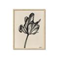 Picture of Spring-blooming _GroupedProduct_Rectangle_Portrait_Framed_Matted_