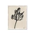 Picture of Spring-blooming _GroupedProduct_Rectangle_Portrait_Framed_Matted_