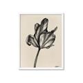 Picture of Spring-blooming _GroupedProduct_Rectangle_Portrait_Framed_Matted_
