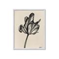 Picture of Spring-blooming _GroupedProduct_Rectangle_Portrait_Framed_Matted_
