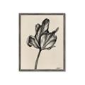 Picture of Spring-blooming _GroupedProduct_Rectangle_Portrait_Framed_Matted_