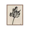 Picture of Spring-blooming _GroupedProduct_Rectangle_Portrait_Framed_Matted_