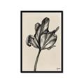 Picture of Spring-blooming _GroupedProduct_Rectangle_Portrait_Framed_Matted_